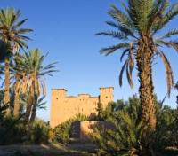 Skoura Oasis Skoura Oasis